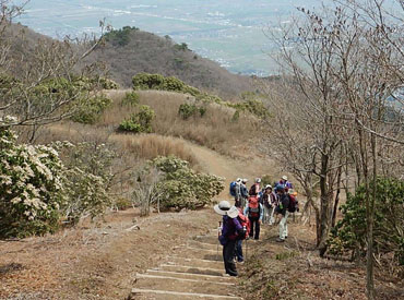 養老山 859ｍ
