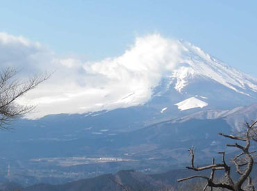 大野山（おおのやま）723ｍ